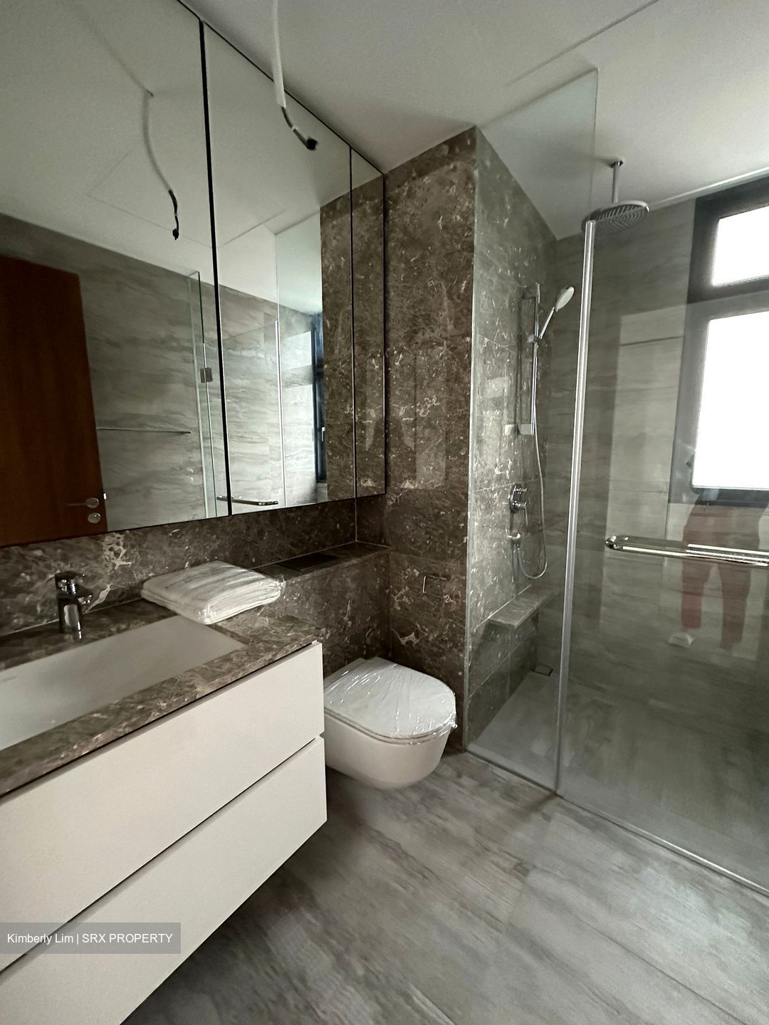 Fourth Avenue Residences (D10), Apartment #528296911